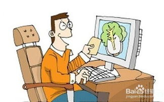 食品流通中的主体及其在互联网销售中的角色